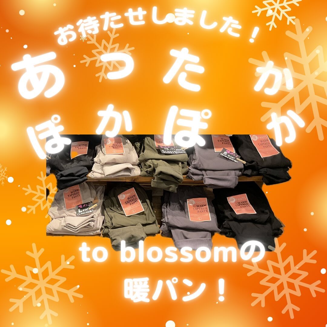 暖パン2024(ストレッチテーパード) - to blossom (8184657510532)