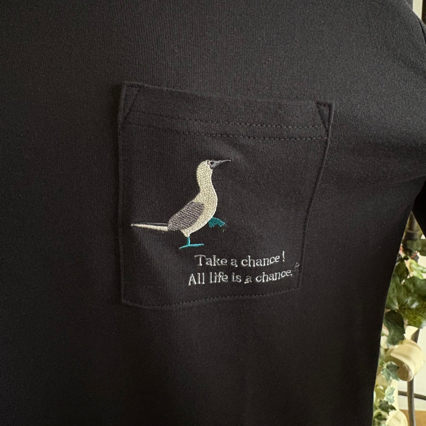 アオアシカツオドリポケT