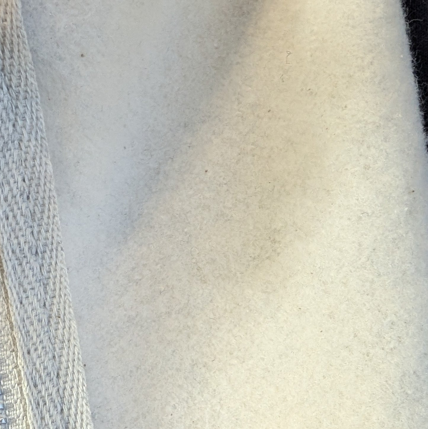 食べ過ぎた猫裏起毛パーカー