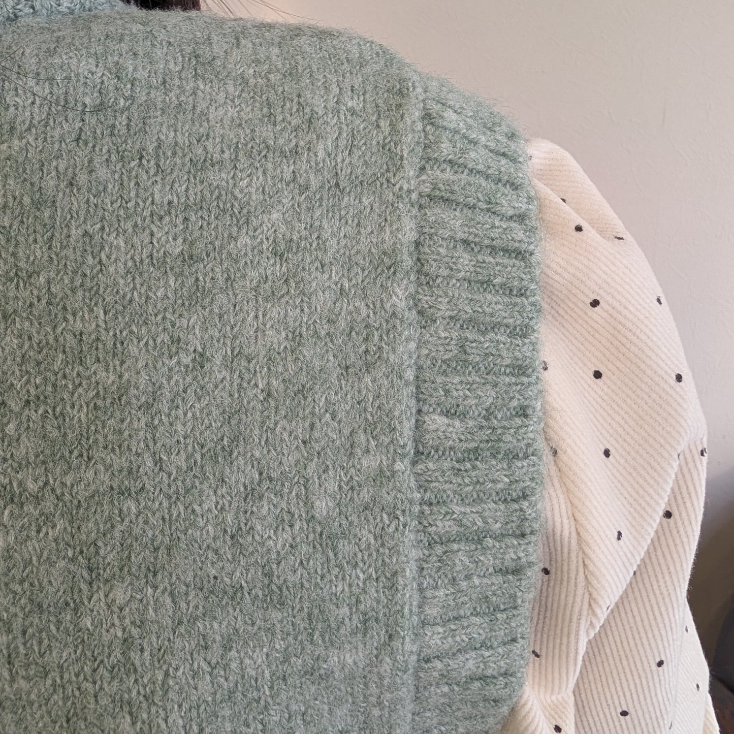 食べ過ぎた猫ベスト