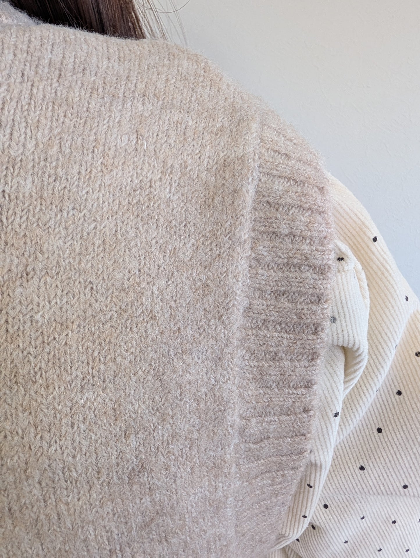 食べ過ぎた猫ベスト